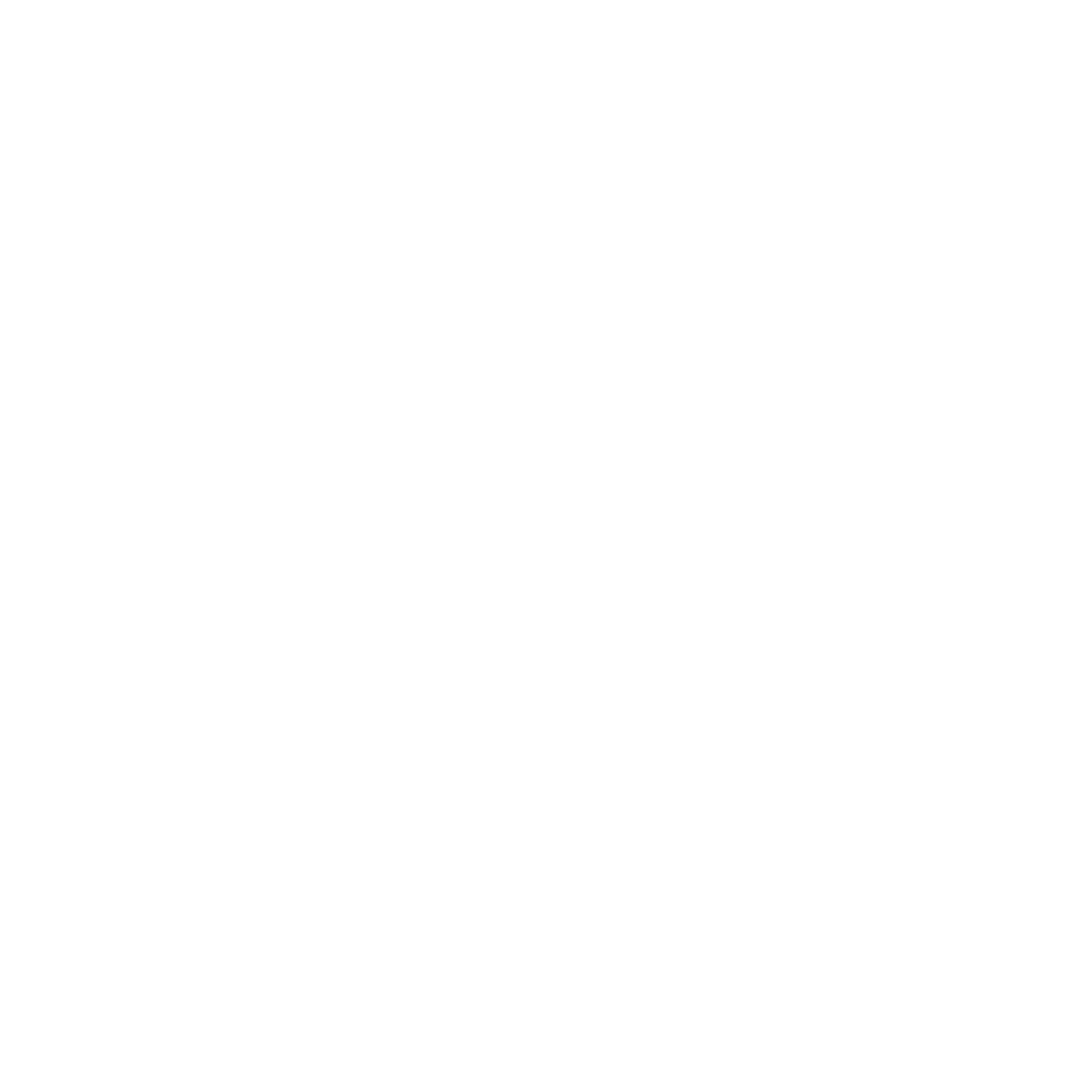 Логотип ArgentVPN